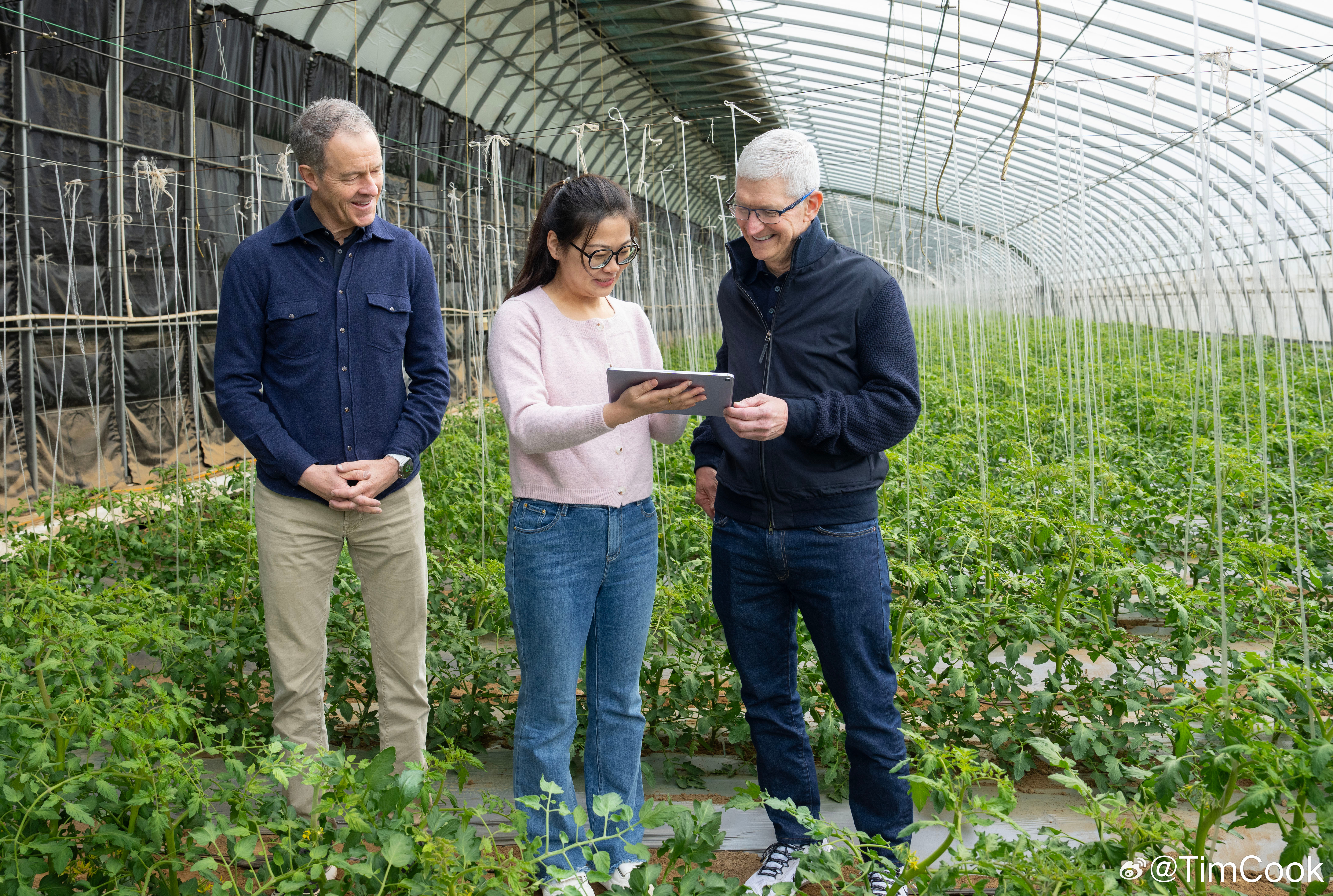 tim-cook-jeff-williams-china